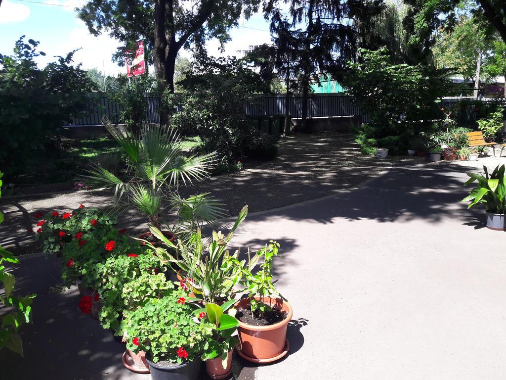 Orchidea Apartman Eger Exteriör bild